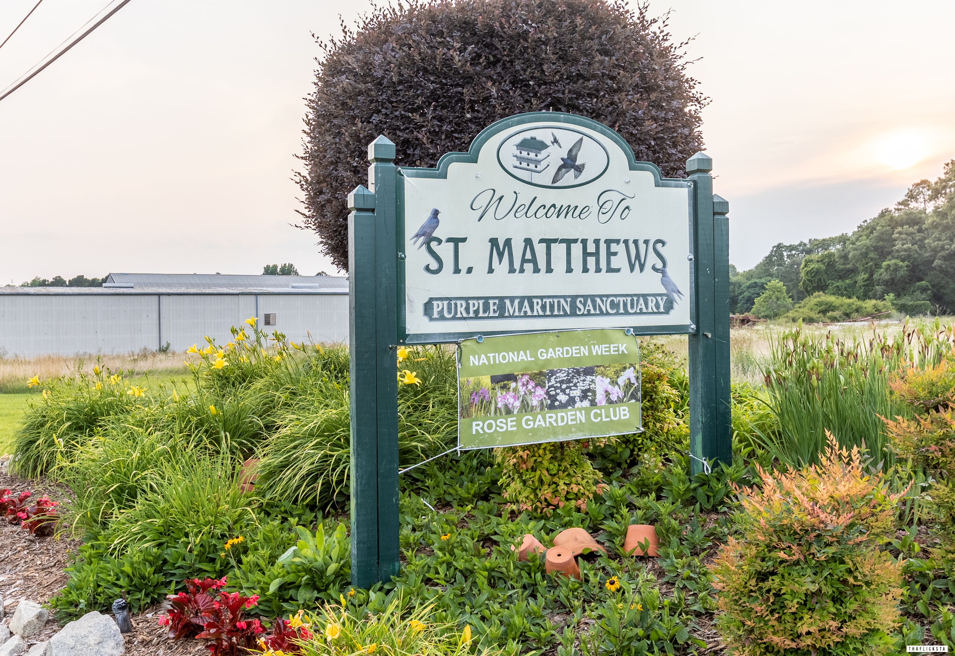 Home  Town of St. Matthews